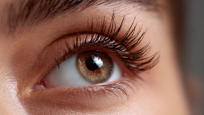 How Long Does It Take to See Visible Results From Eyelash Growth Serum?